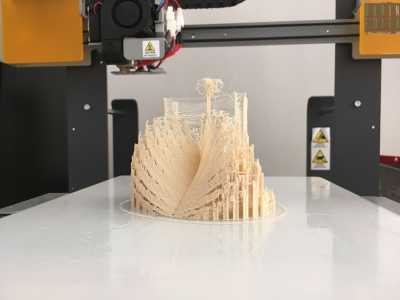 ...che ha appena dato vita a un'elaborata forma tridimensionale